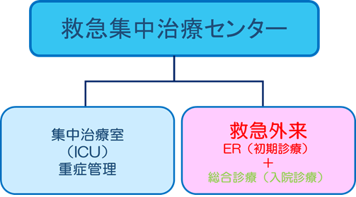 診療体制