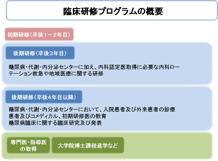 臨床研修プログラムの概要