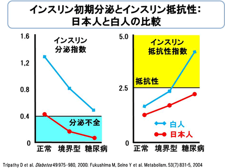 インスリン初期分泌とインスリン抵抗性:日本人と白人の比較