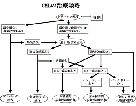 CMLの治療戦略