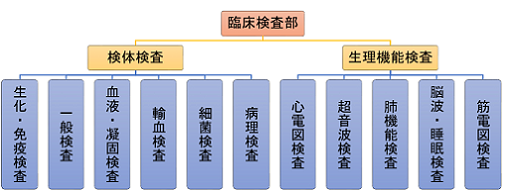臨床検査部構成図