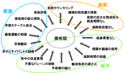 ERAS®の内容
